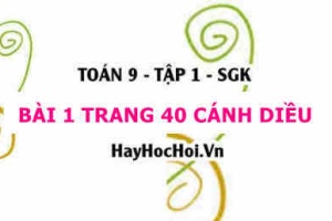 Bài 1 trang 40 Toán 9 tập 1 Cánh Diều